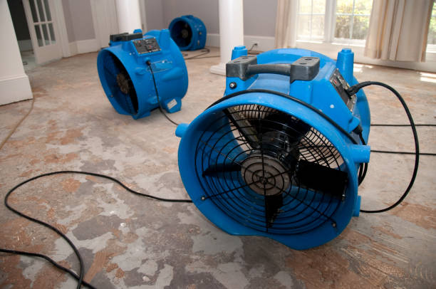 Best Water damage restoration near me  in Paynesville, MN