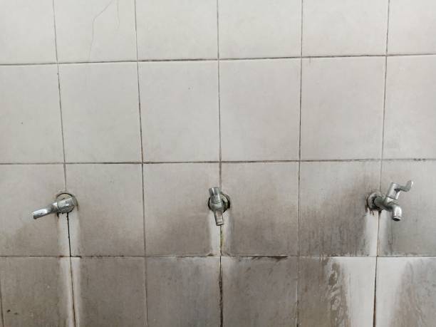 Best 24-hour water damage restoration  in Paynesville, MN