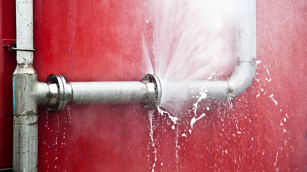 Best Professional water damage repair  in Paynesville, MN