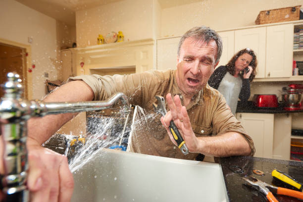 Best Carpet water damage restoration  in Paynesville, MN